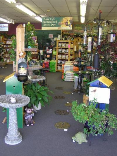 store garden scene