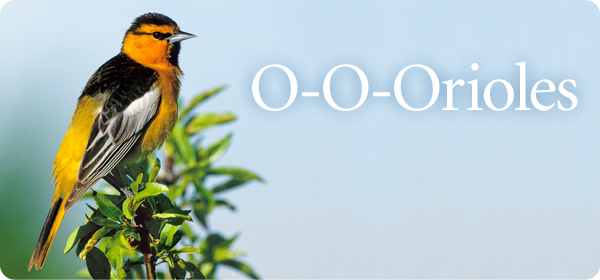 Oriole Feeders